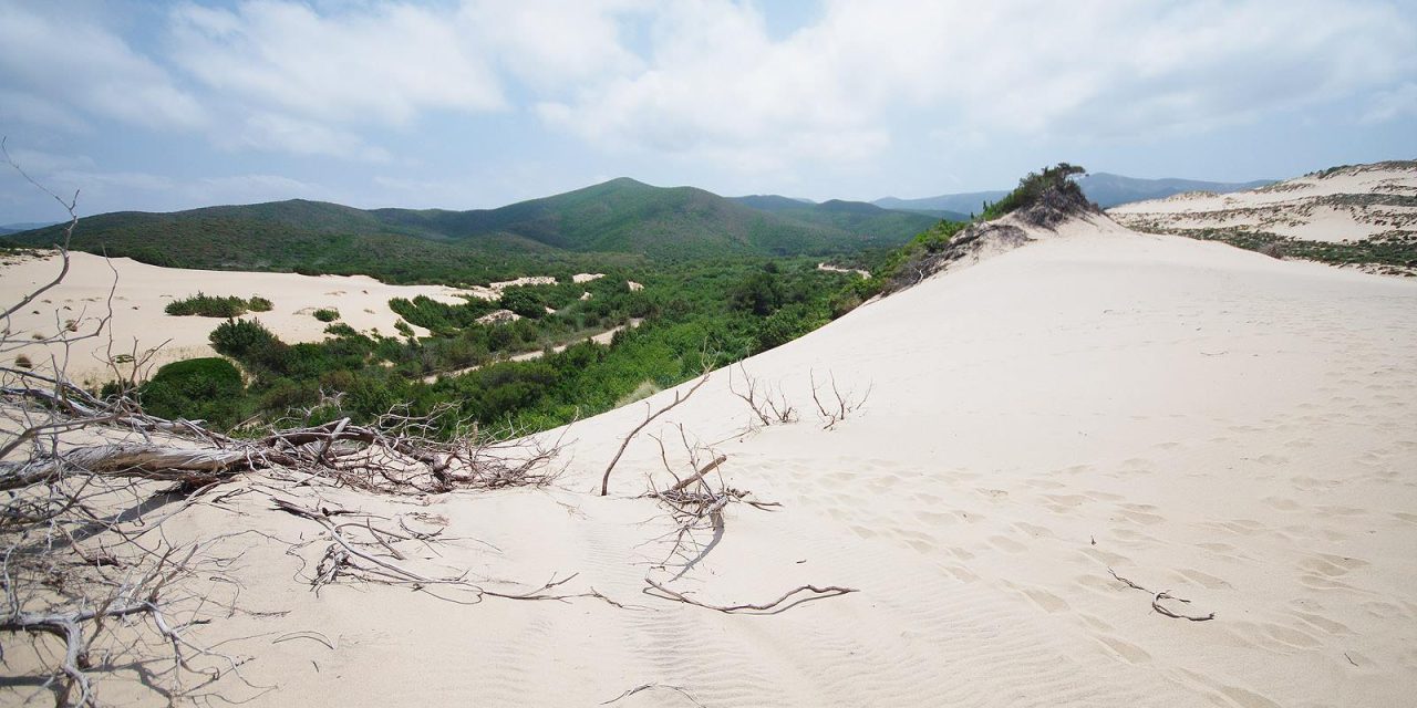 La natura incontaminata e le dune di Piscinas