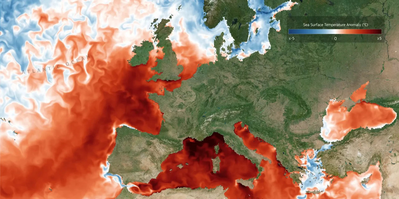 Marine heatwave conditions persist in the western Mediterranean