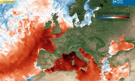 Marine heatwave conditions persist in the western Mediterranean