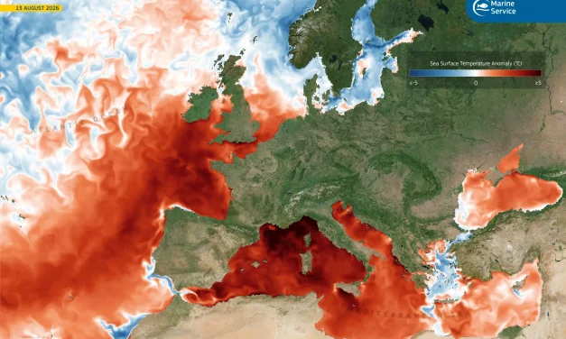 Marine heatwave conditions persist in the western Mediterranean